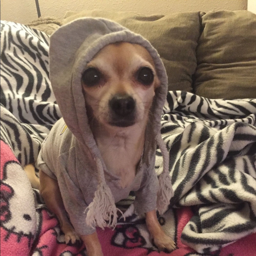 Meet your Posher, Jonell